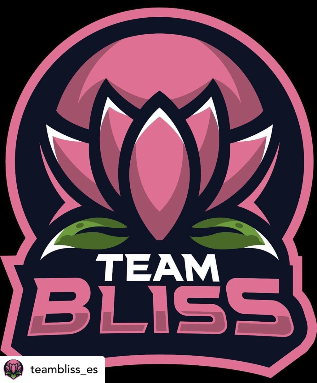Bao Pham, Founder, Team Bliss Esports